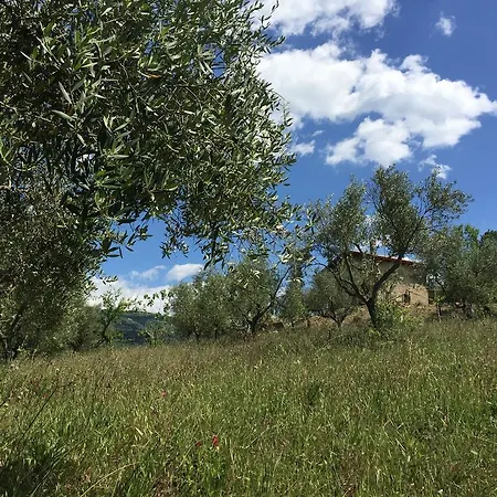 La Cascina Di Caterina Oda ve Kahvaltı